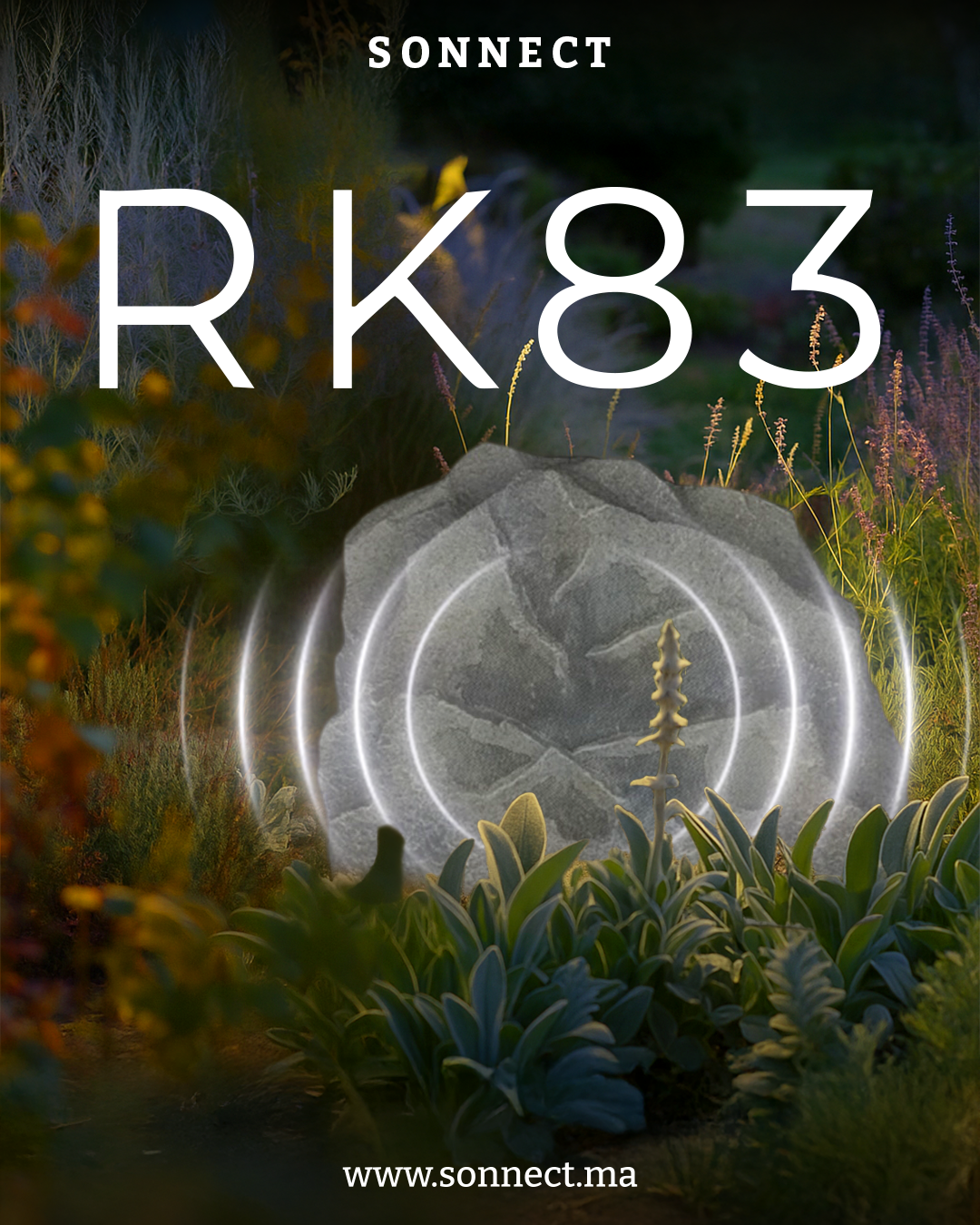 Copie de 83