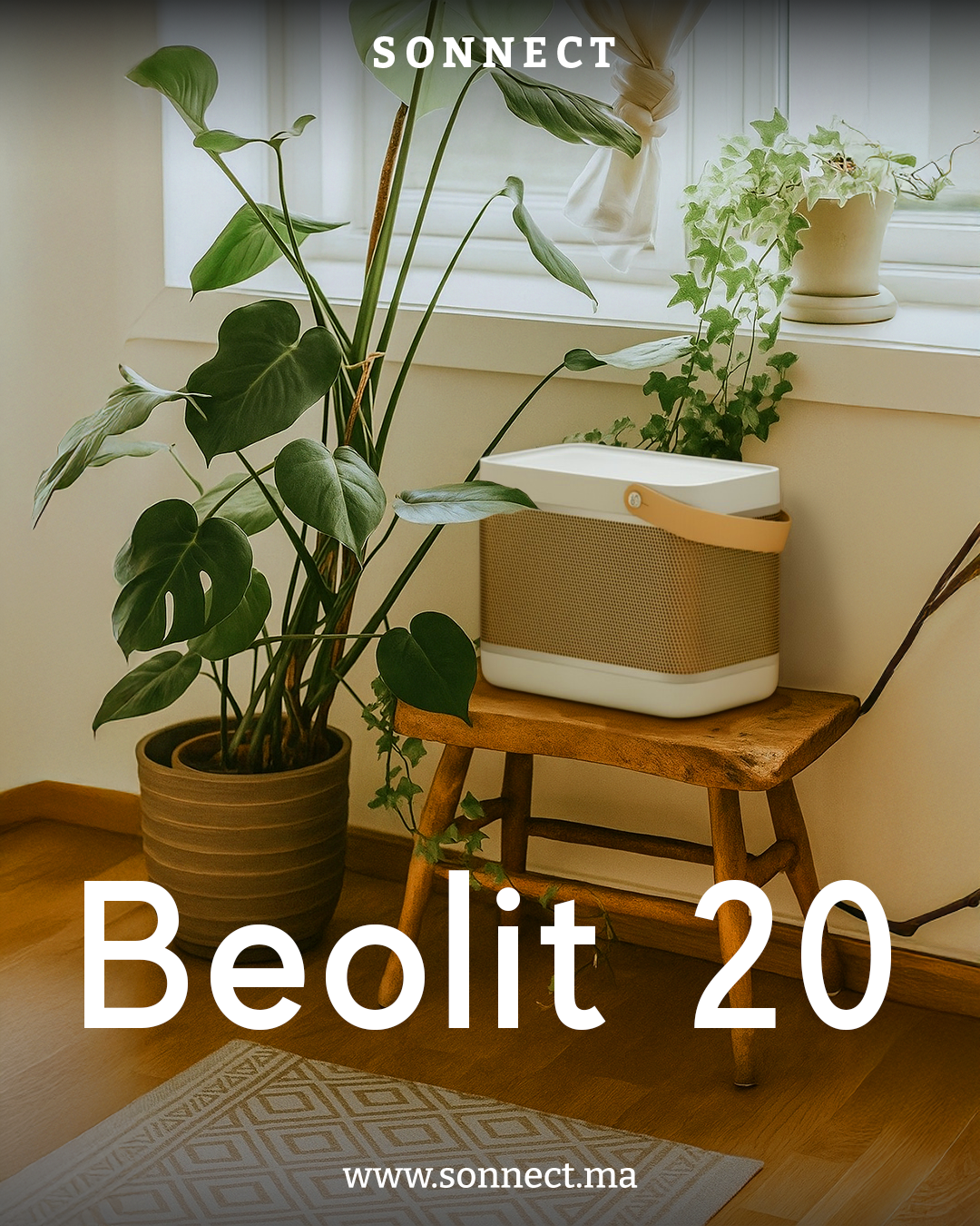 Copie de beo 20