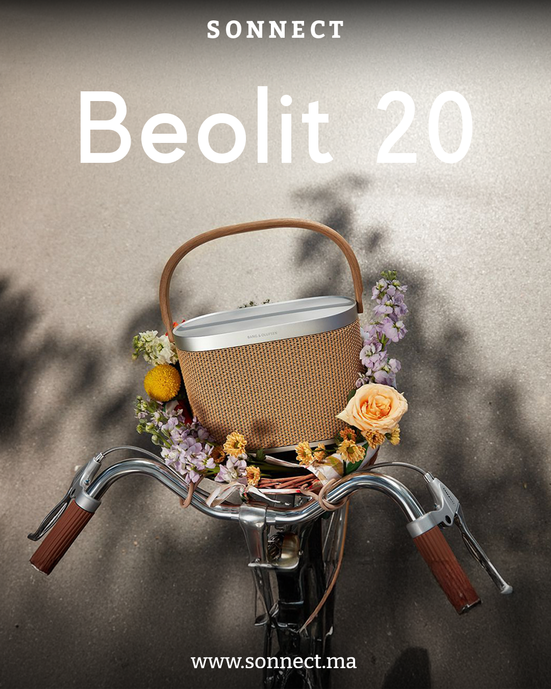 Copie de beolit 20 post